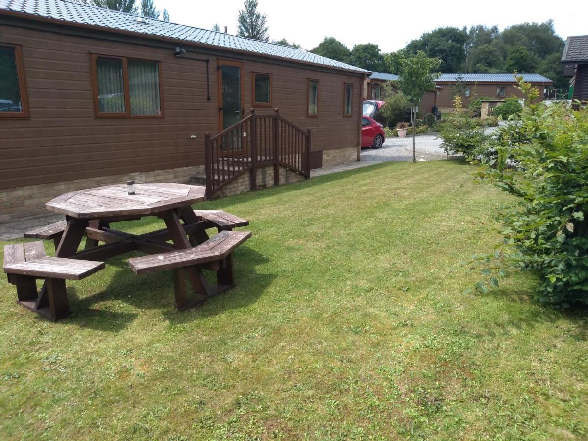 Squirrel Lodge 克利尔威尔 外观 照片